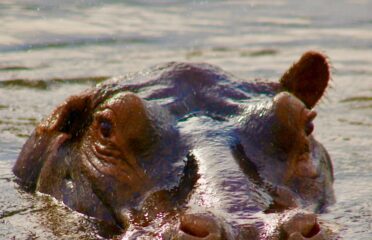 North-Eastern-IMG_1901