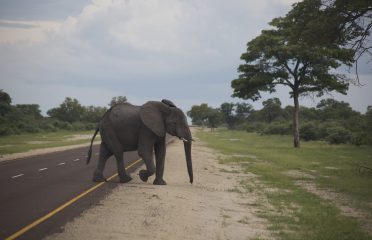 North-Eastern-P04A2978