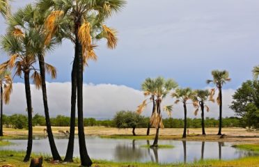 Northern-Northern Region