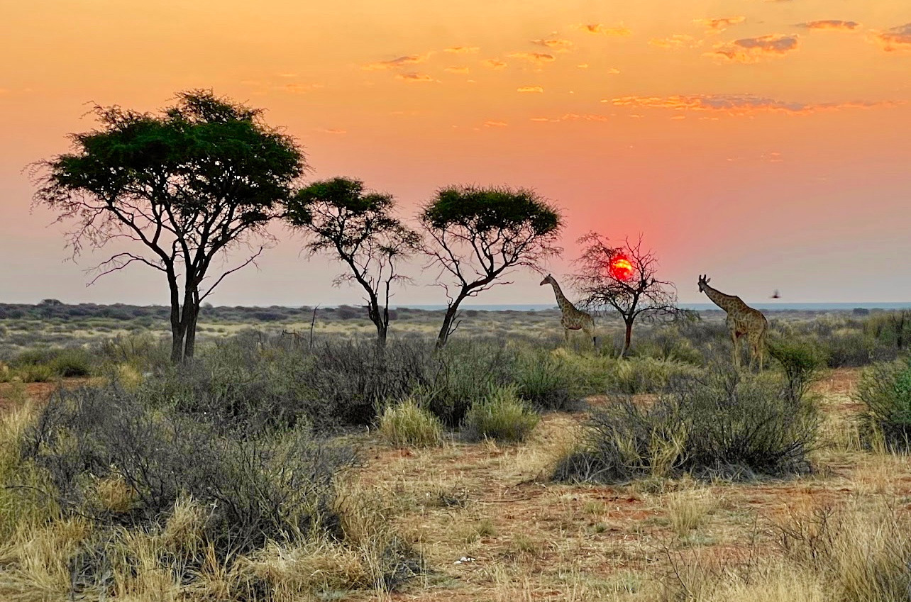 Xaraxab-Kalahari-Camp-1