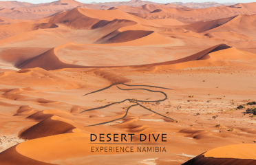 Desert Dive Namibia Tours and Travel