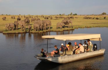 Mountain Elephant Safaris