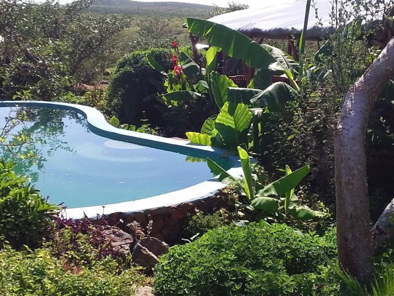 5931524246264203254 (7)