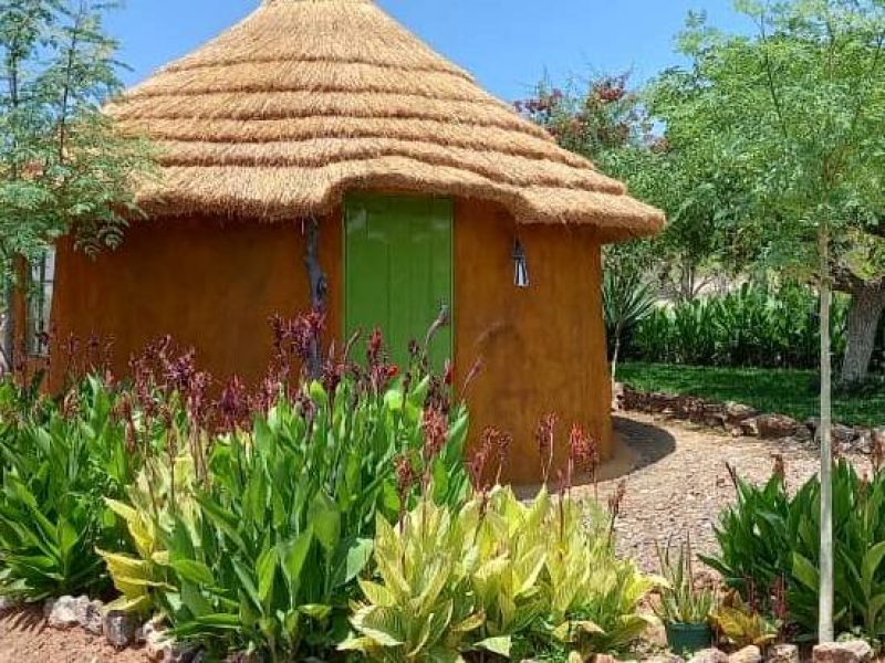 5931524246264203255 (7)