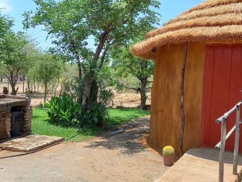 5931524246264203256 (7)